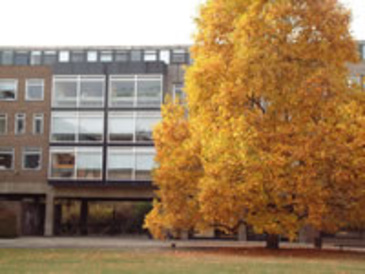faculty image 2
