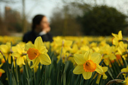Changing to Out-of-term Opening Hours