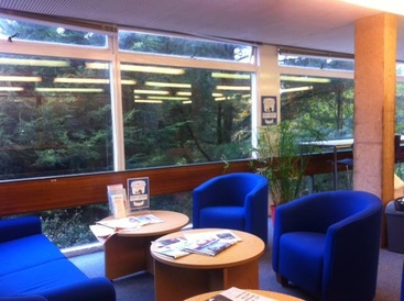 Reminder: Trial Saturday Opening Hours - use it or lose it