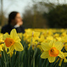 Changing to Out-of-term Opening Hours